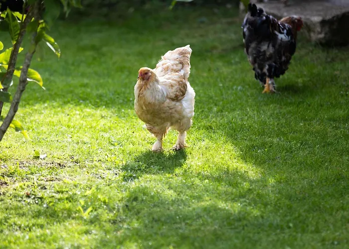 Montgolfieres By Interhome *